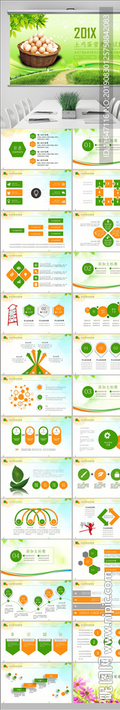 营养农家土鸡蛋宣传介绍PPT