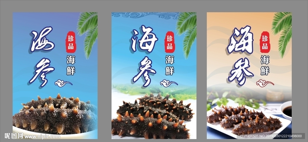 海参背景