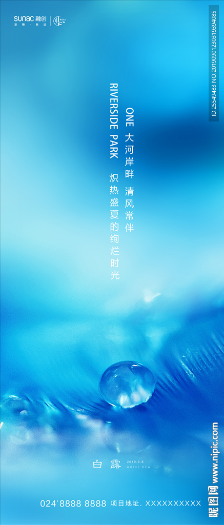白露