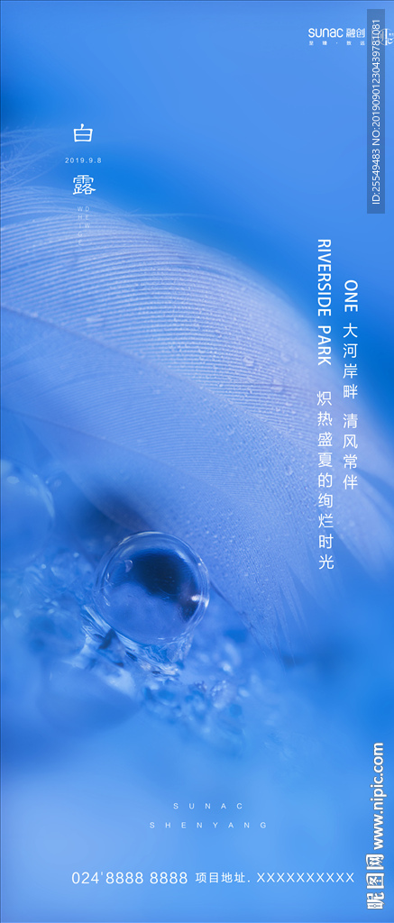 白露