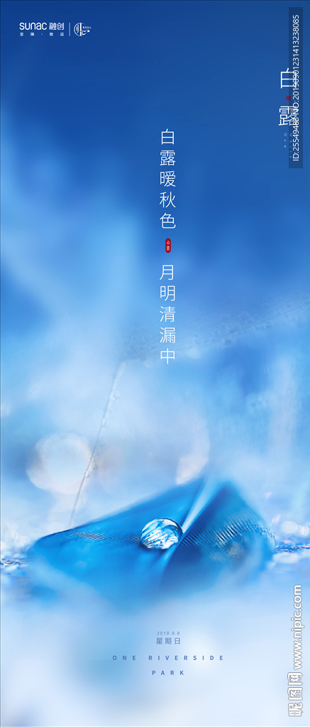 白露