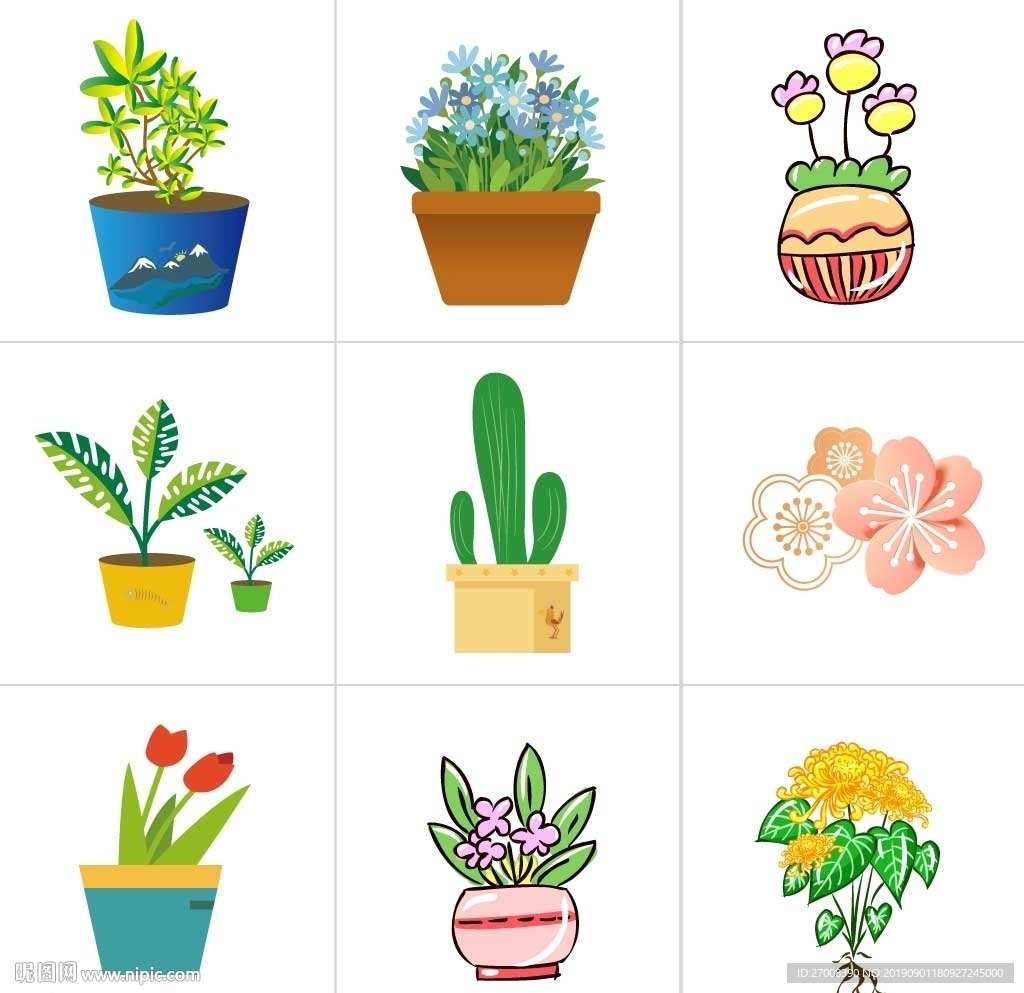 花朵图片