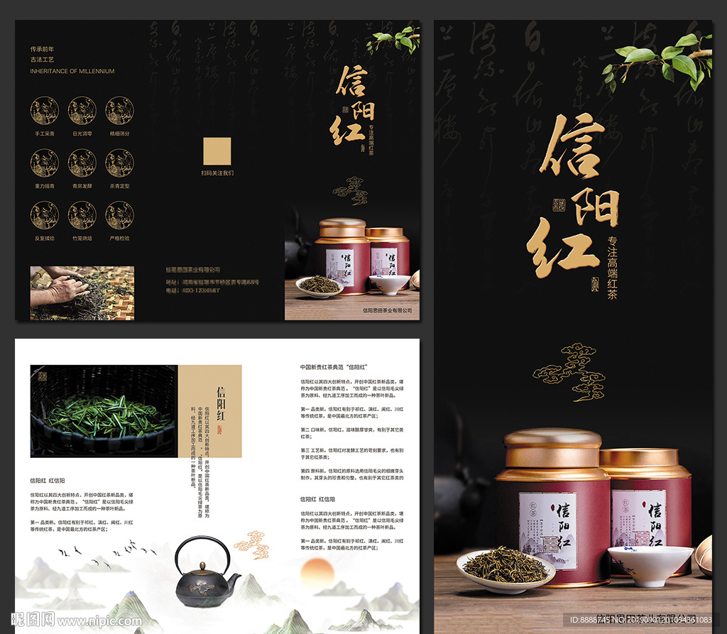 高端红茶招商宣传三折页设计