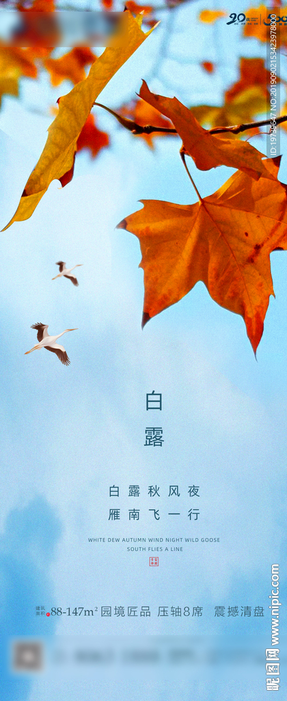 白露
