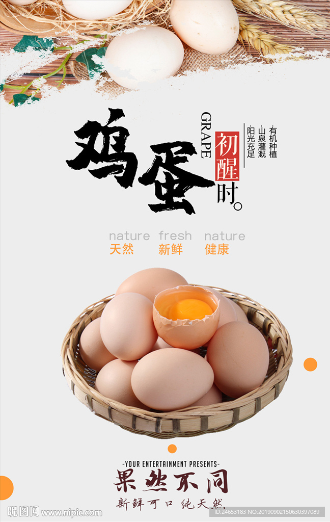 鸡蛋