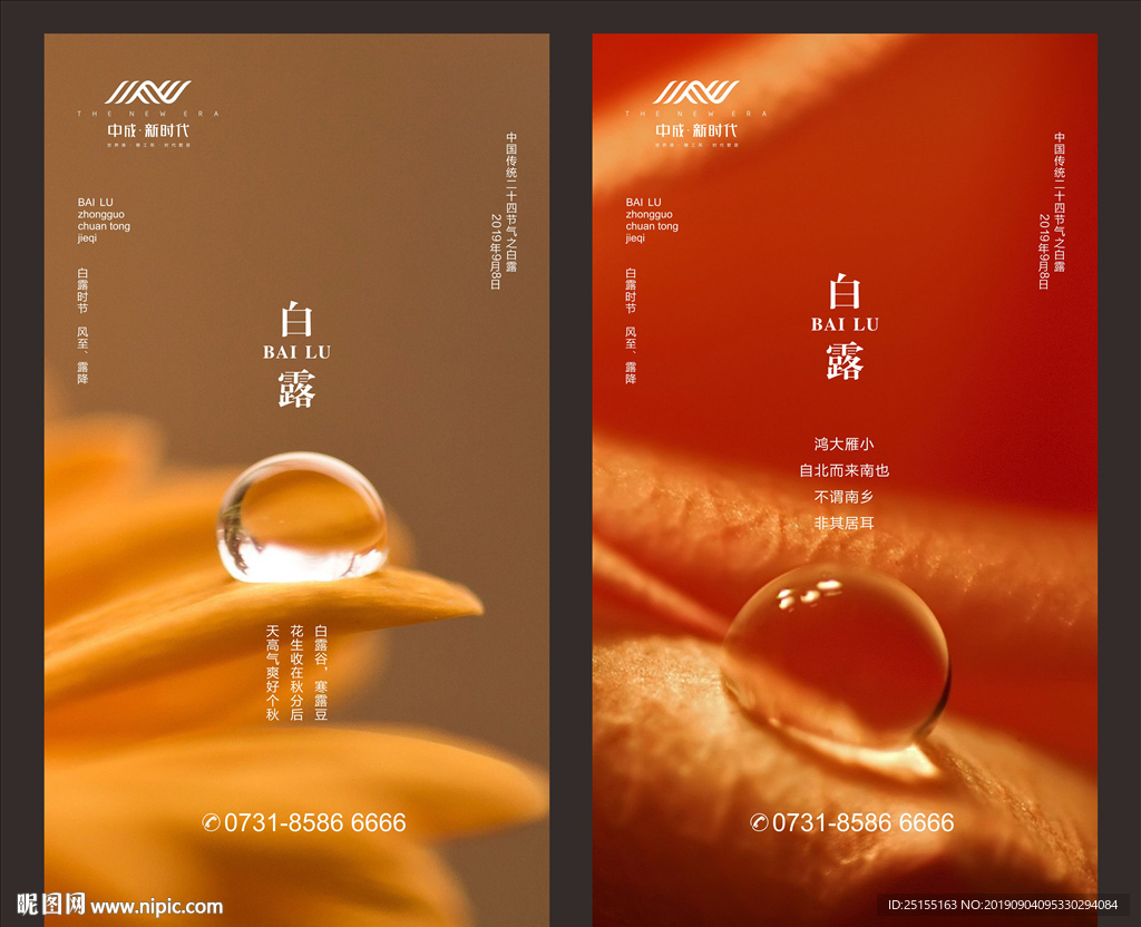 白露 节气 微信
