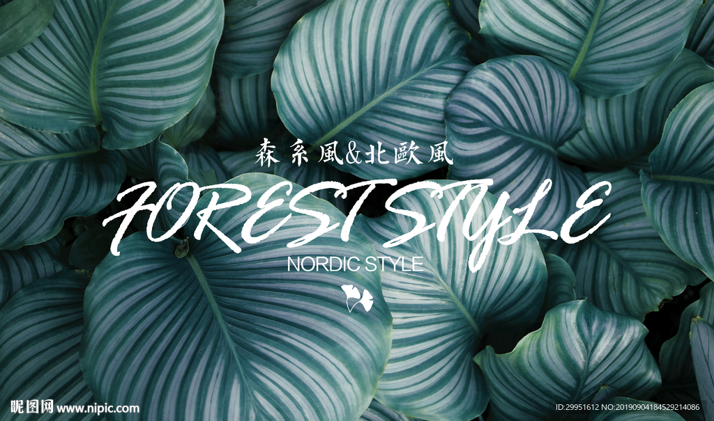 手绘树叶苹果树