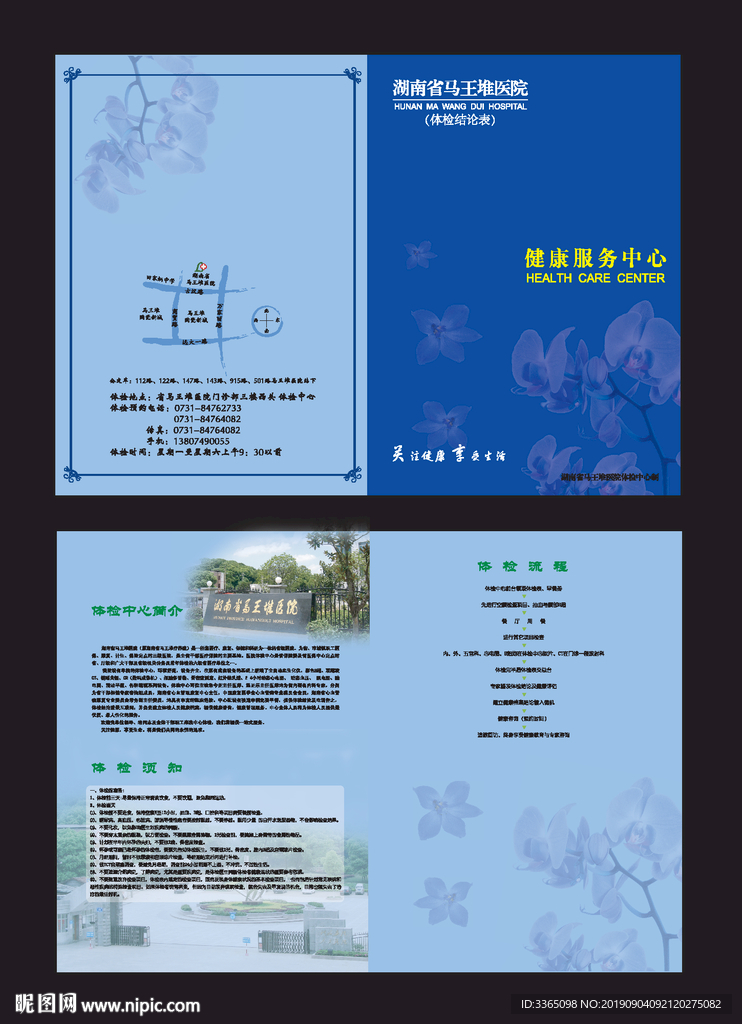 马王堆