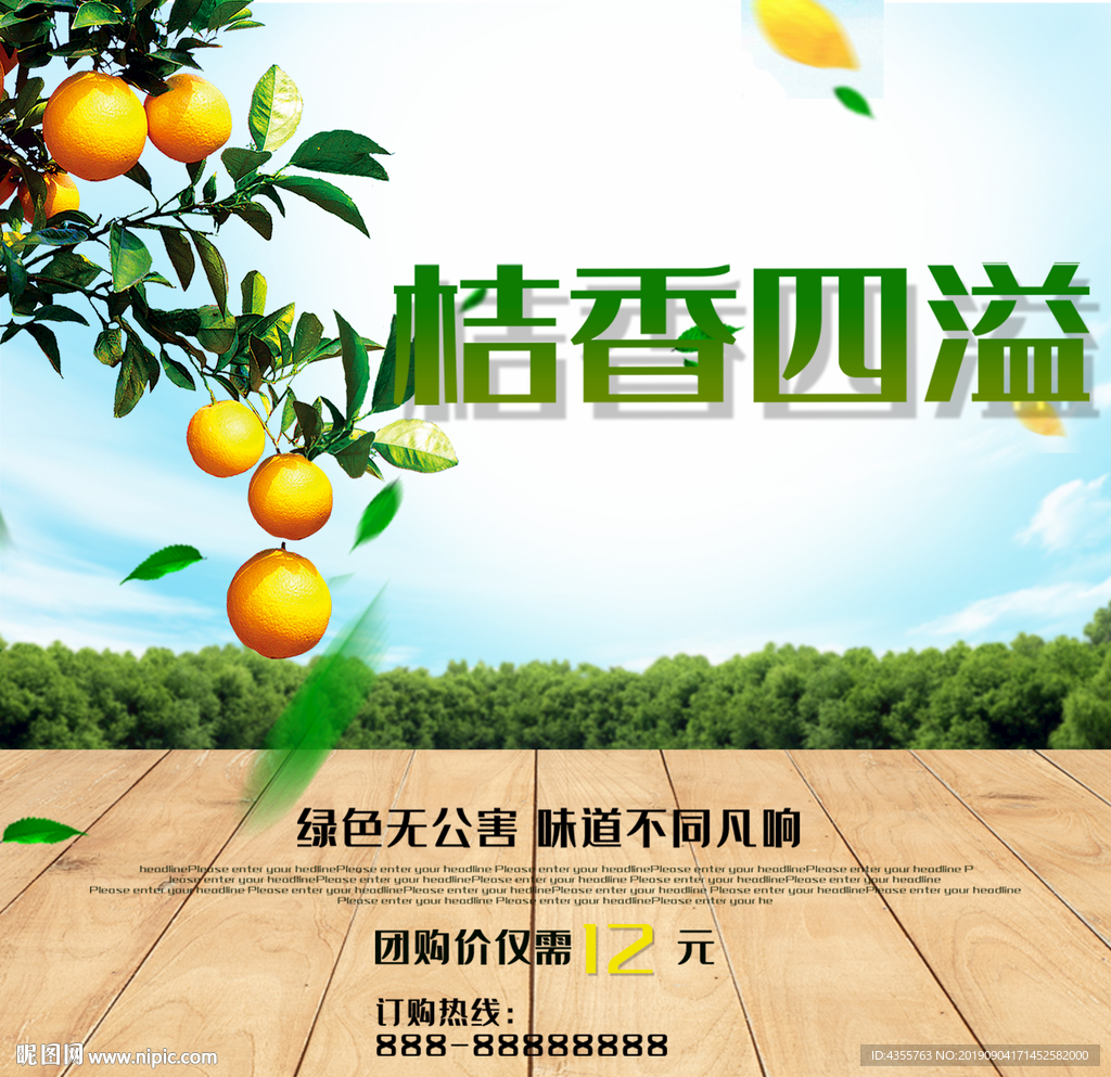 桔子 桔香四溢