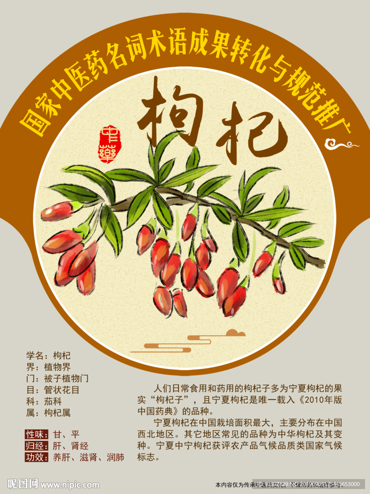 枸杞 枸杞果 枸杞子 手绘中药