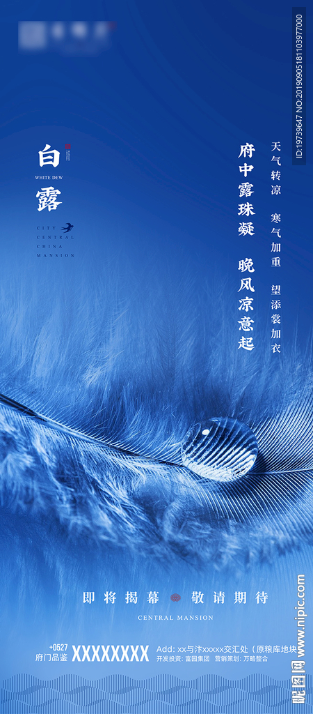 白露
