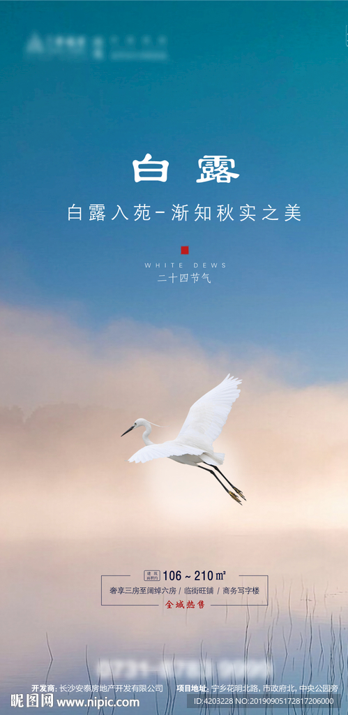 白露