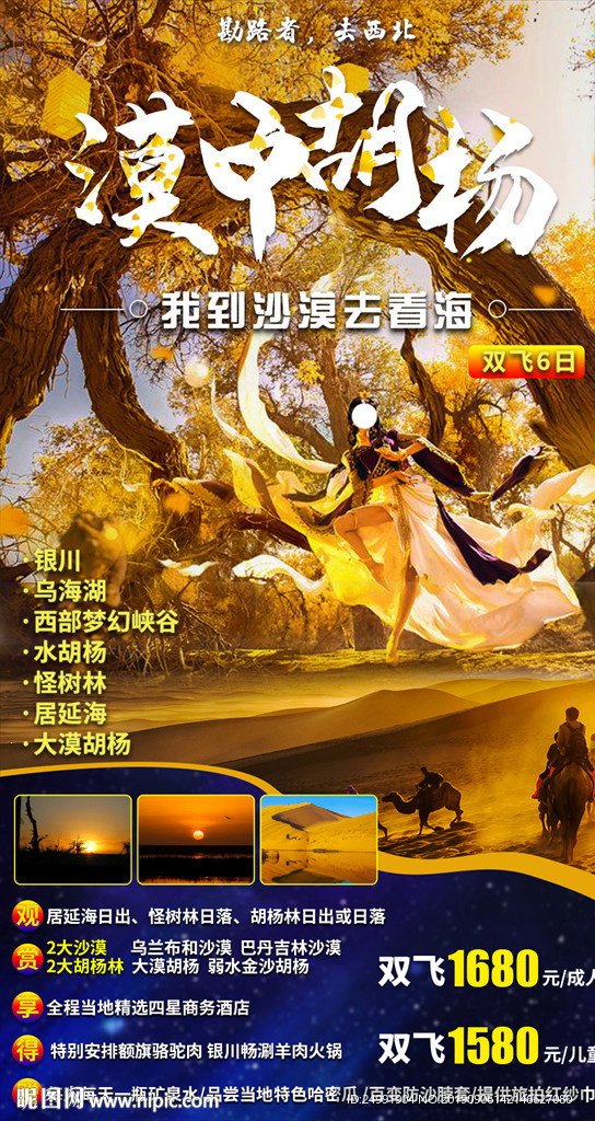 大漠胡杨林沙漠银川之旅旅游