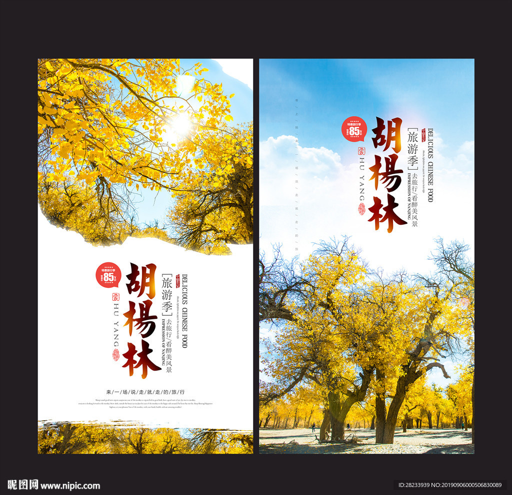胡杨林