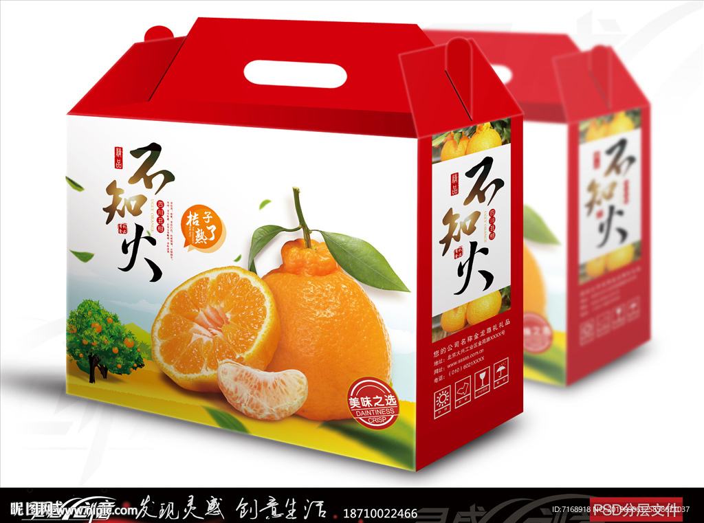 橘子包装 水果包装 桔子展开图