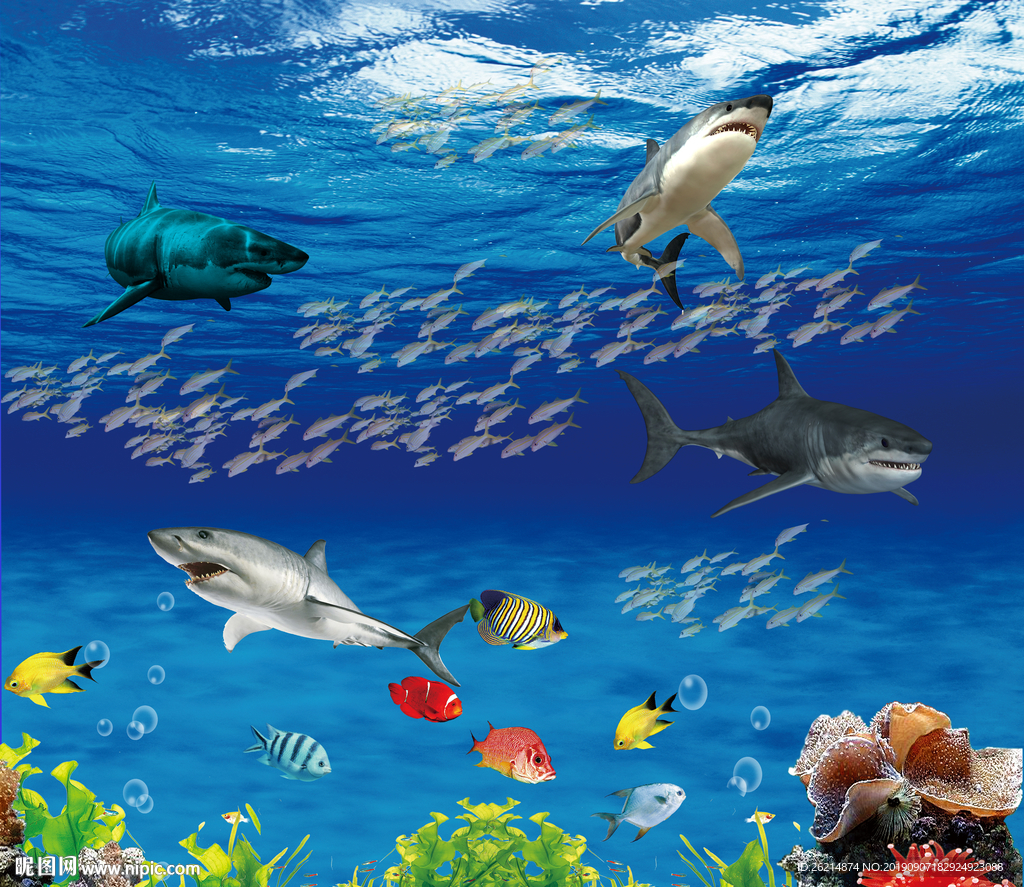 海底世界