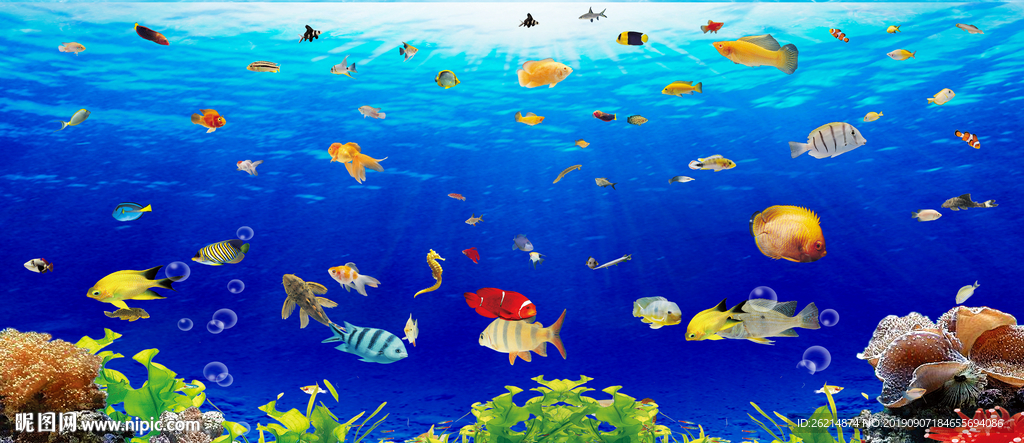 海底世界