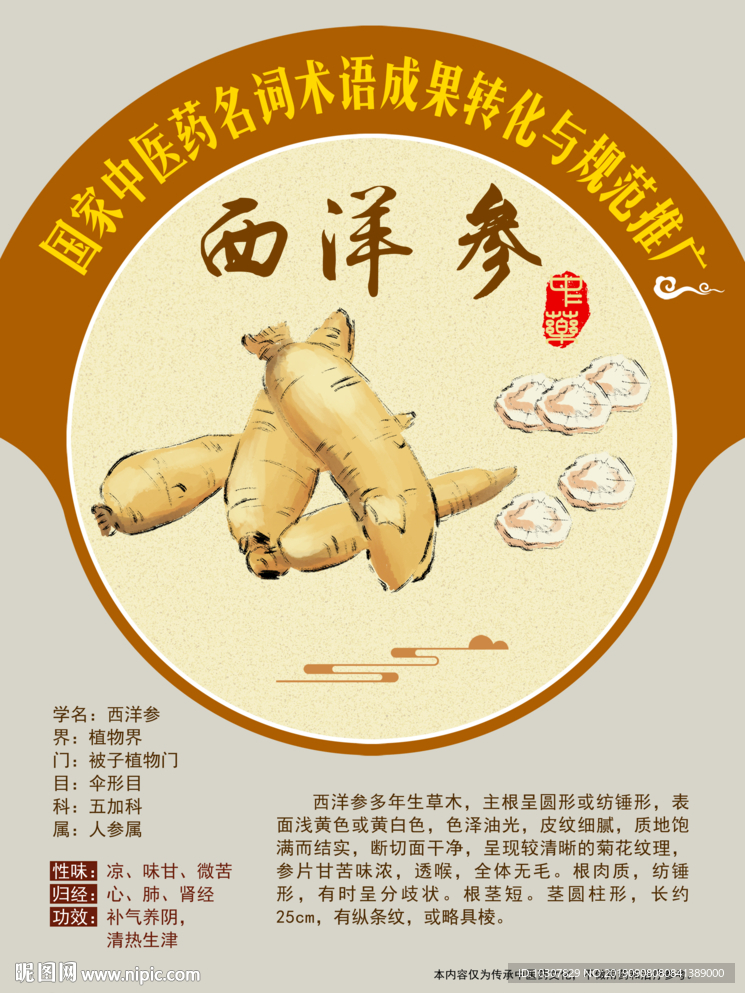西洋参