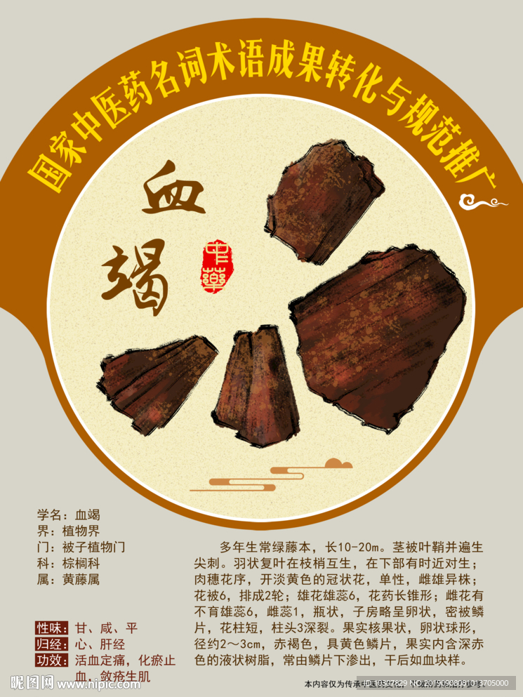 血竭 中医药名词推广 手绘中药