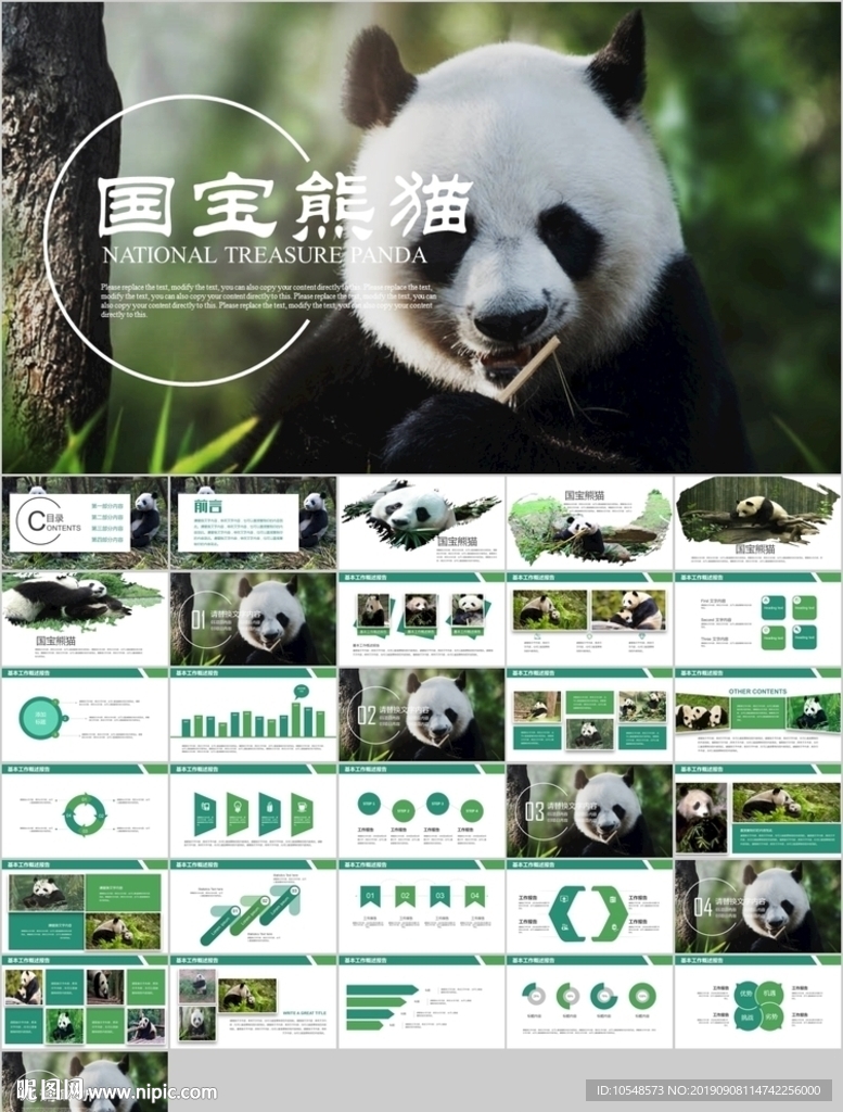 保护动物吃竹子国宝熊猫野生动物