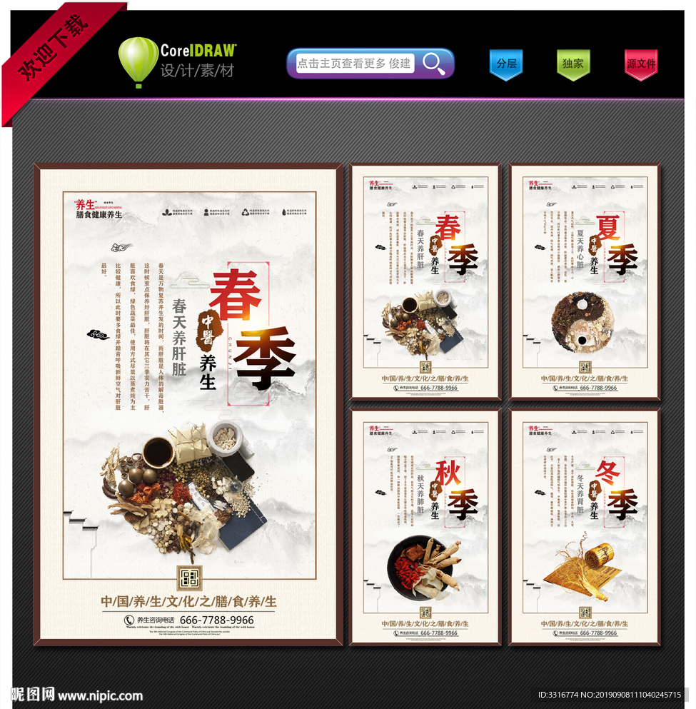 中医挂画