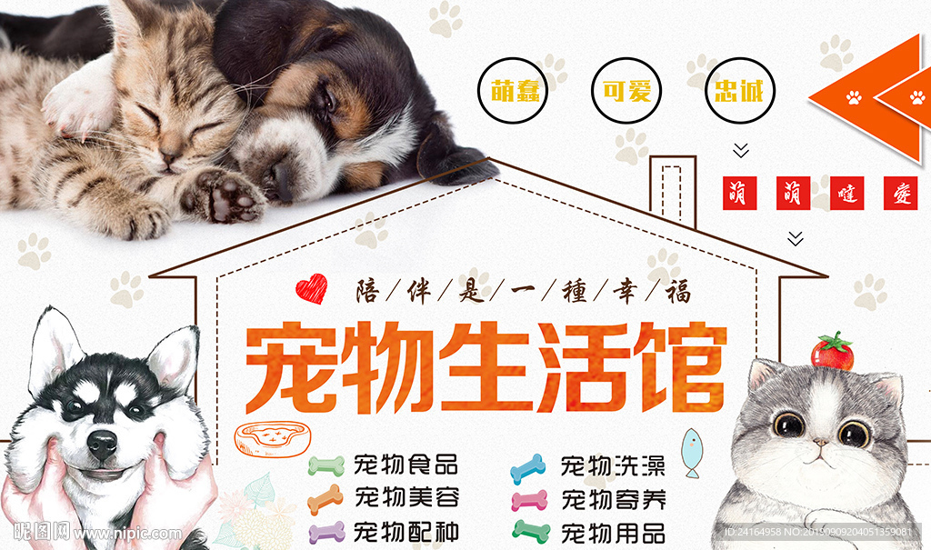 宠物生活馆宠物馆背景墙