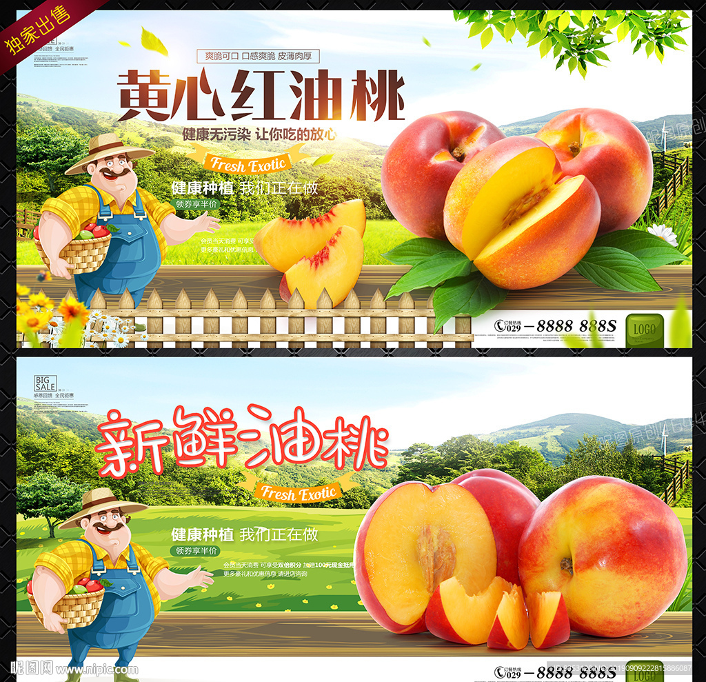 柚桃