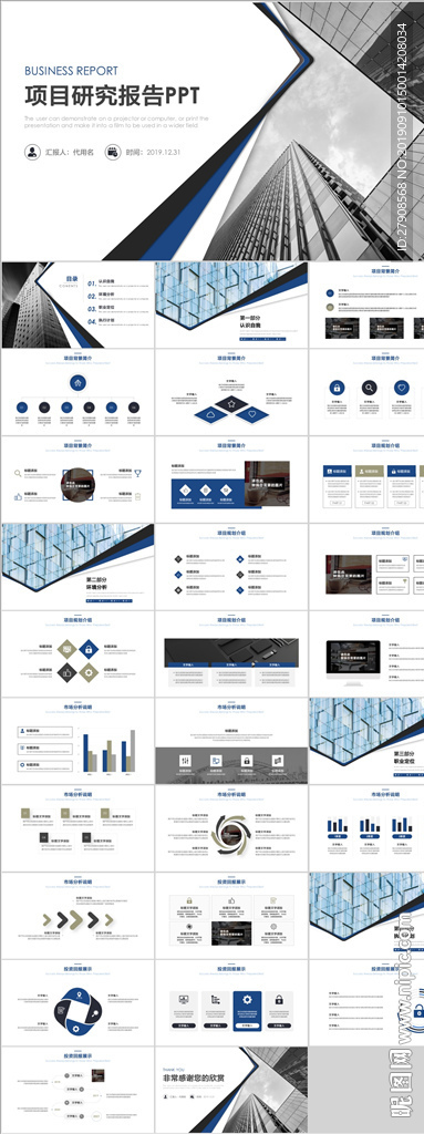 项目研究报告PPT