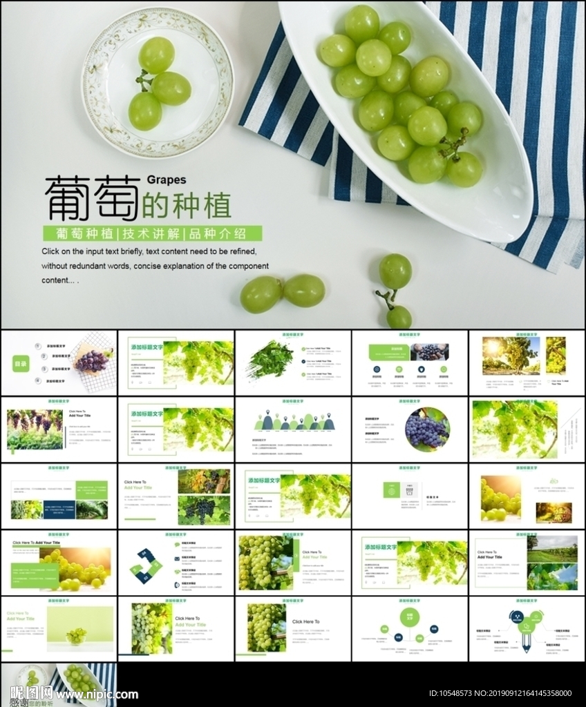 葡萄采摘葡萄园种植产业ppt