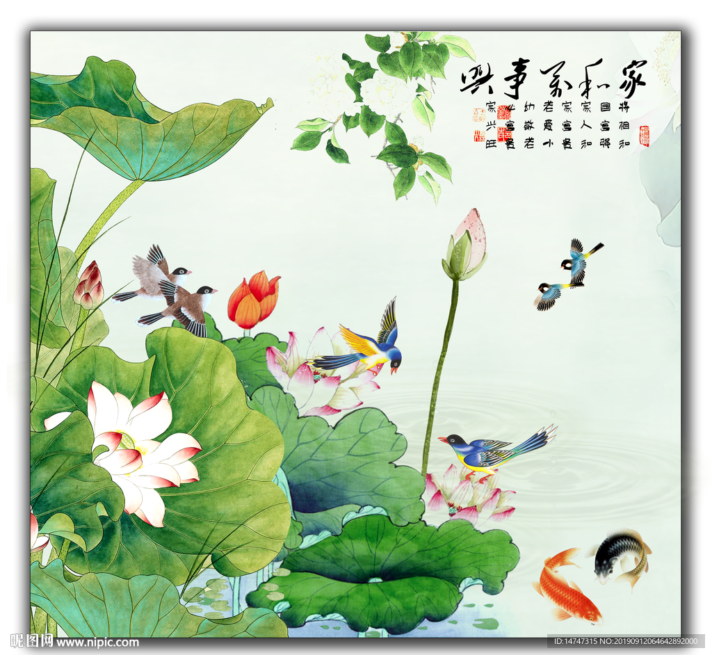 国画荷花