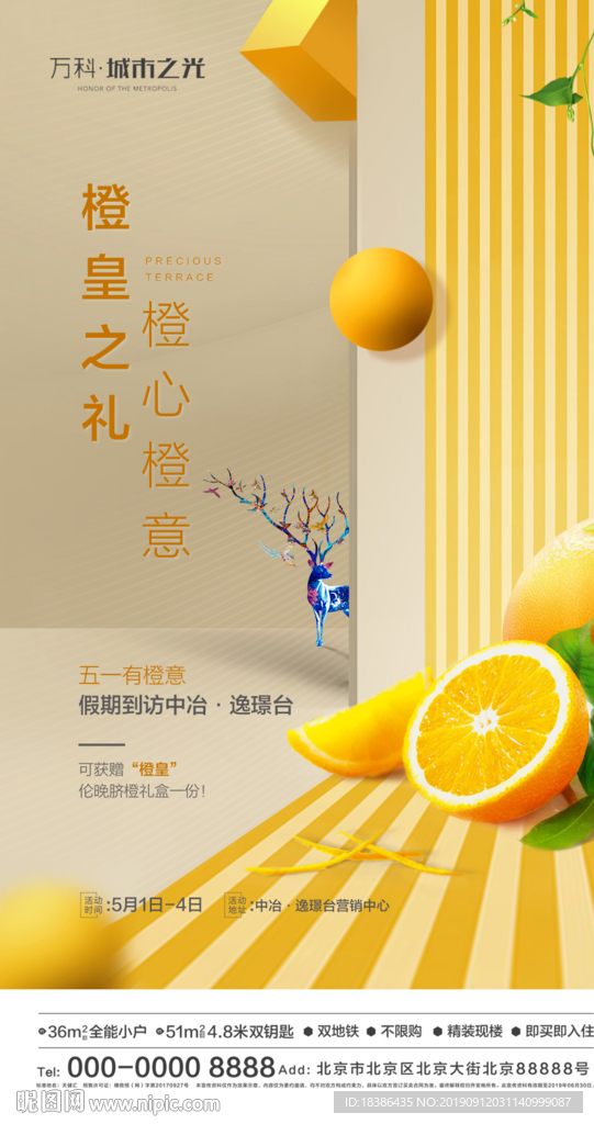 橙子 活动 地产