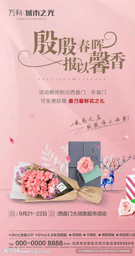 母亲节 康乃馨 节日 地产