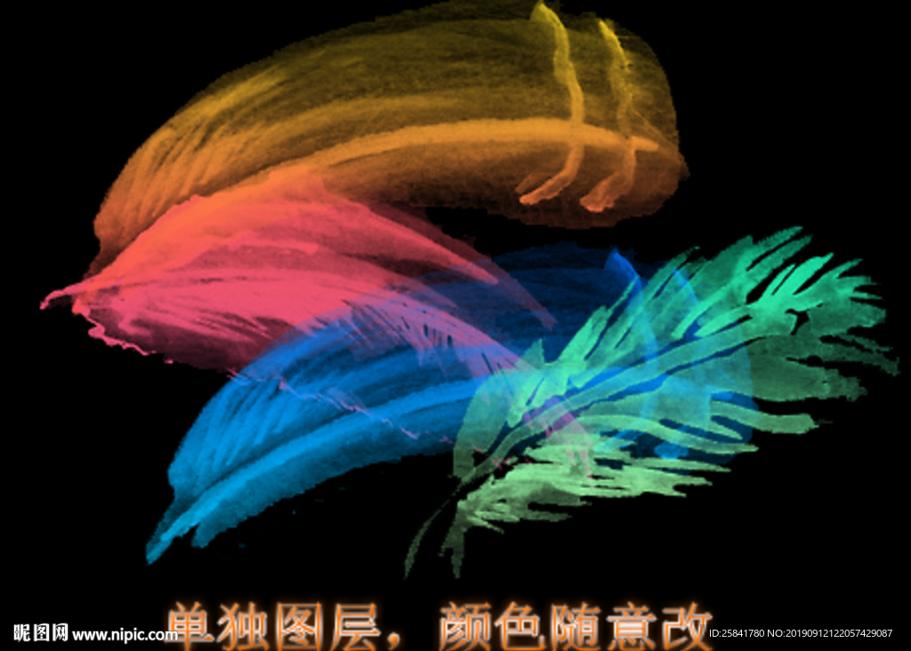 彩色羽毛