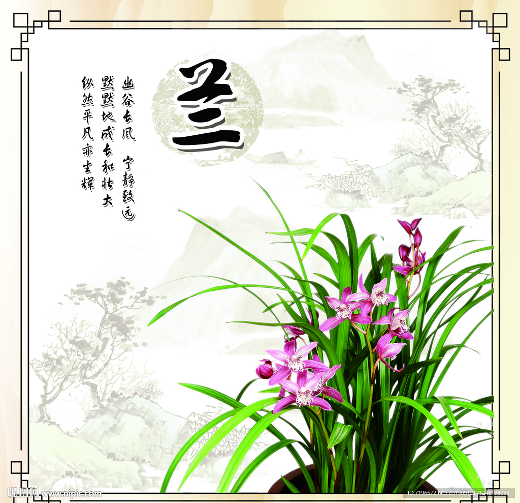 兰图片