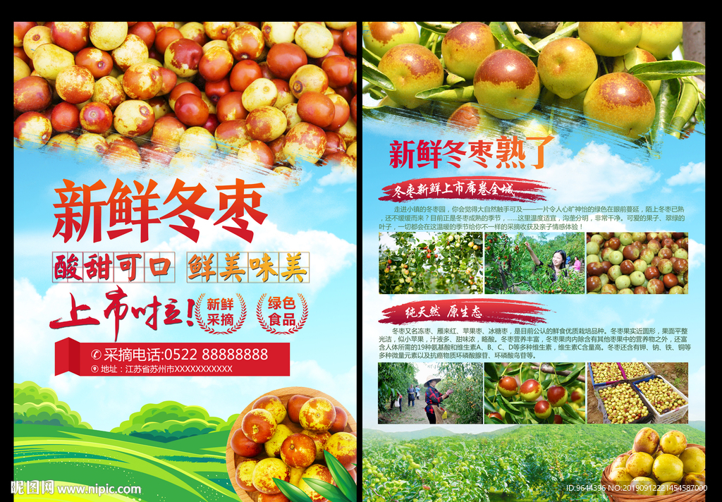 新鲜冬枣单页