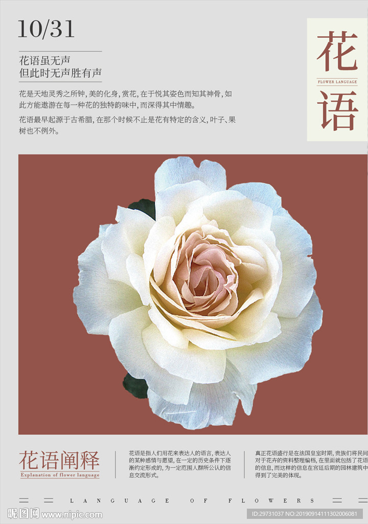 花海报