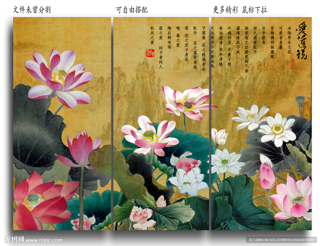 荷花图