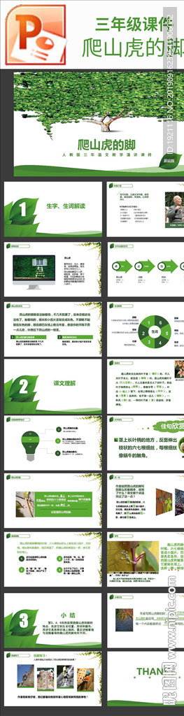 三年级课件爬山虎的脚