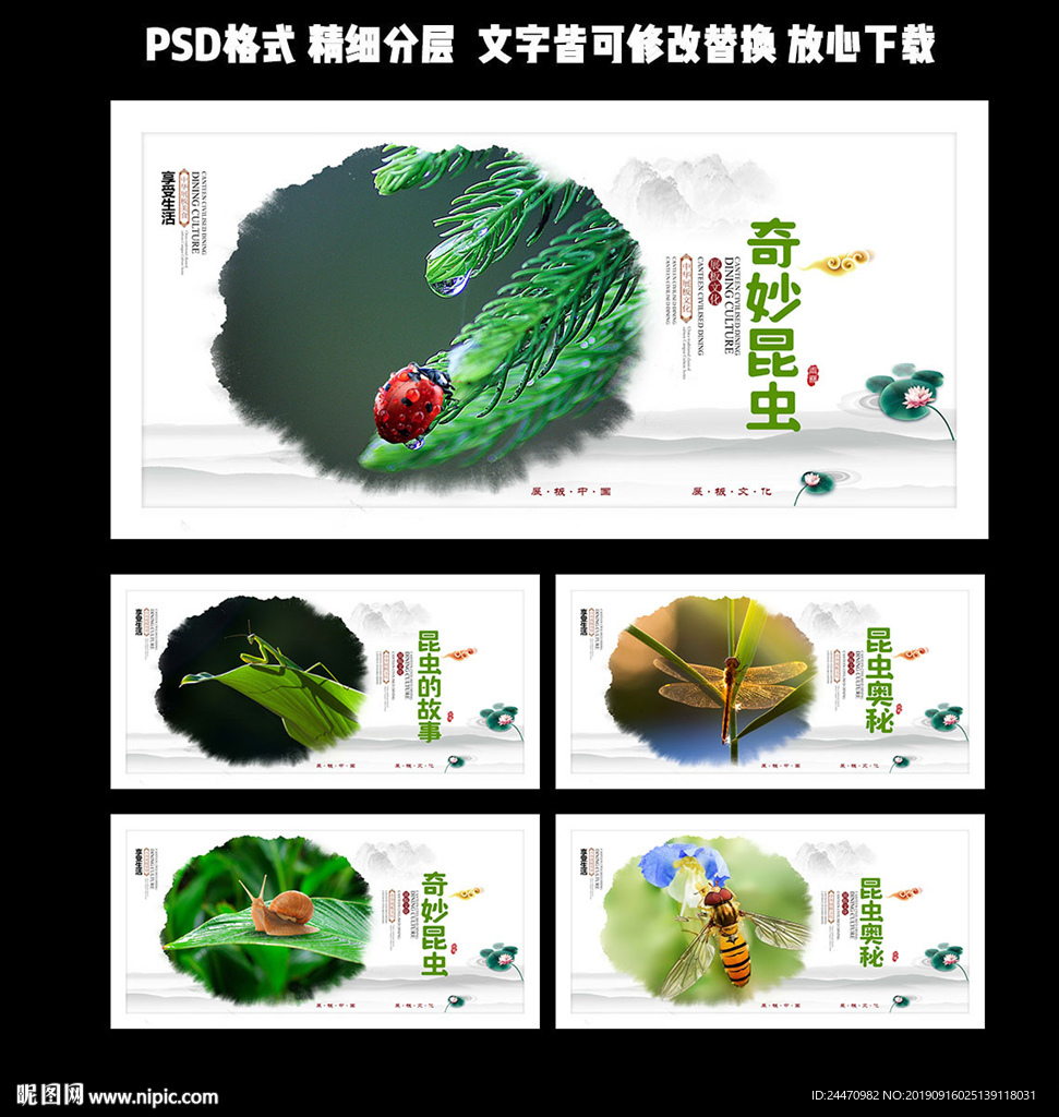 昆虫