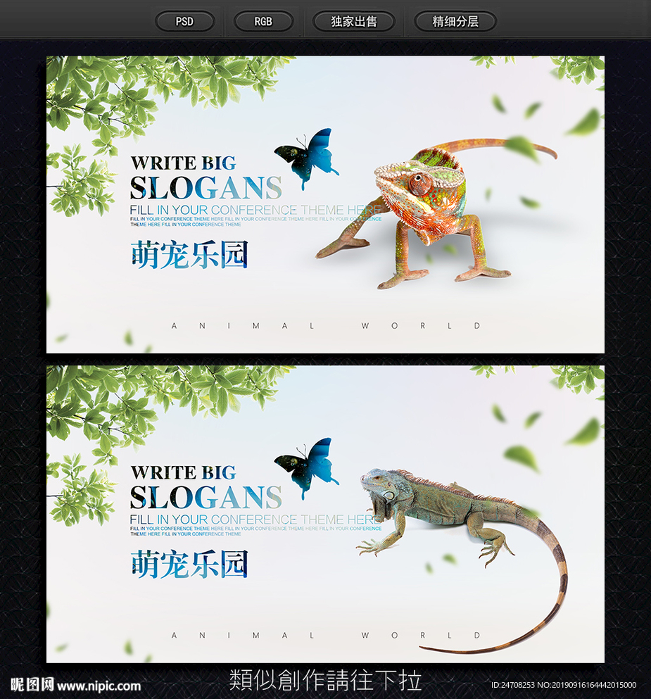 宠物