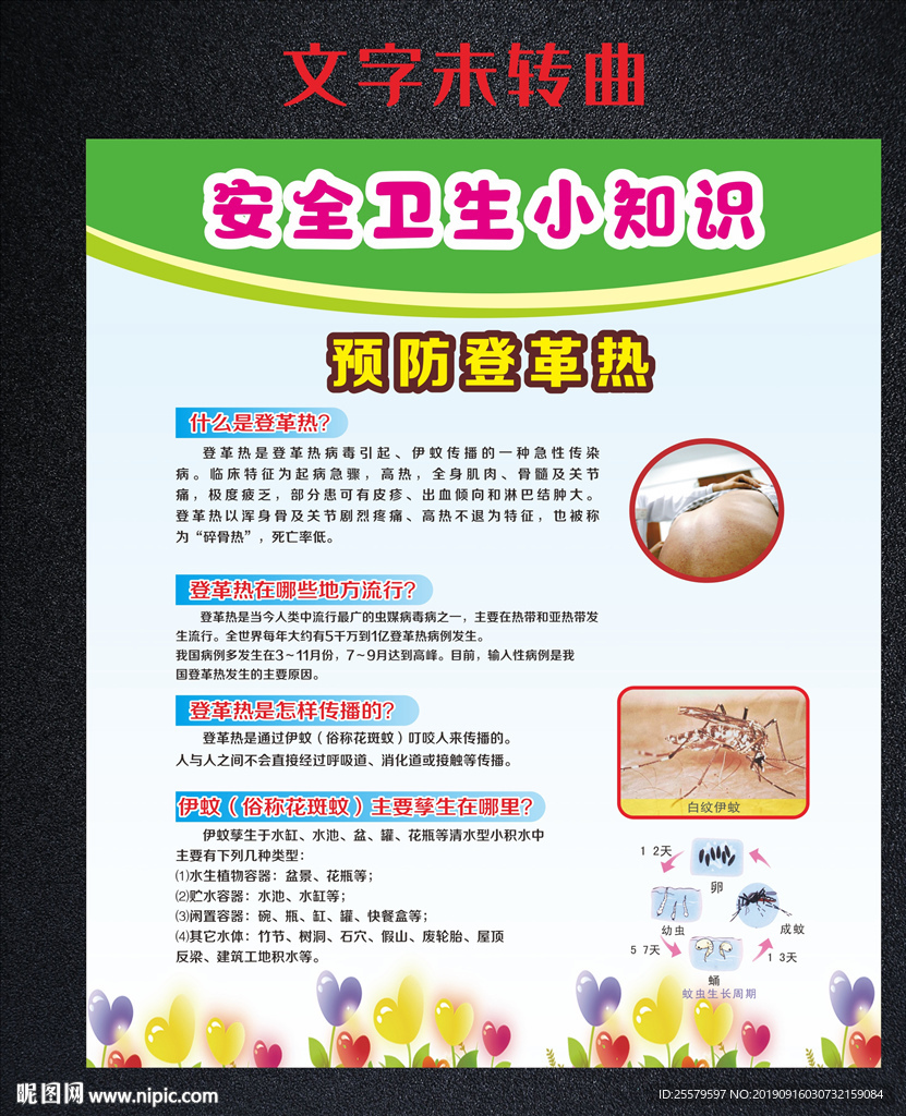 预防登革热