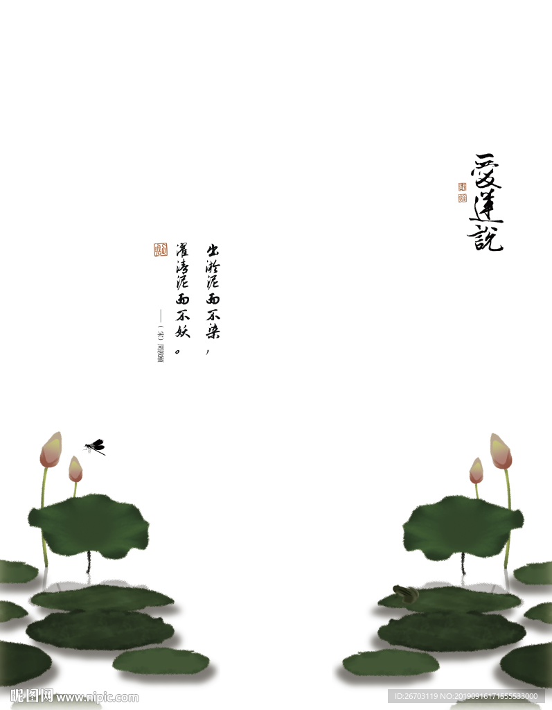 荷花