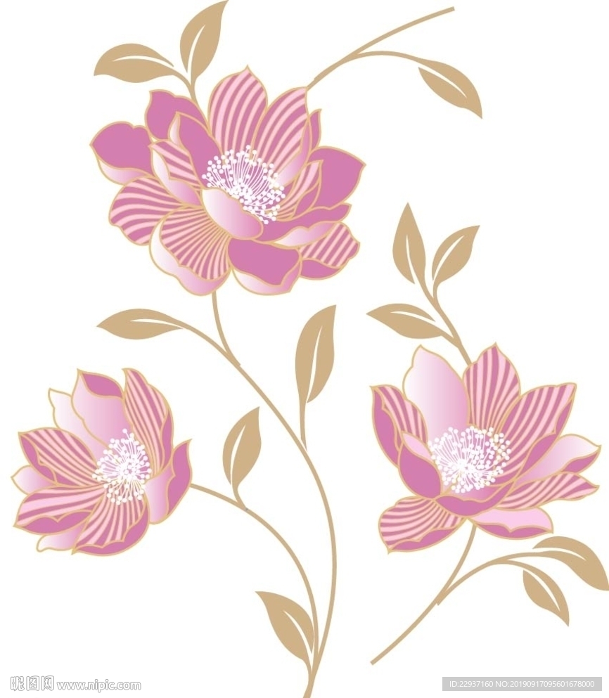 矢量花