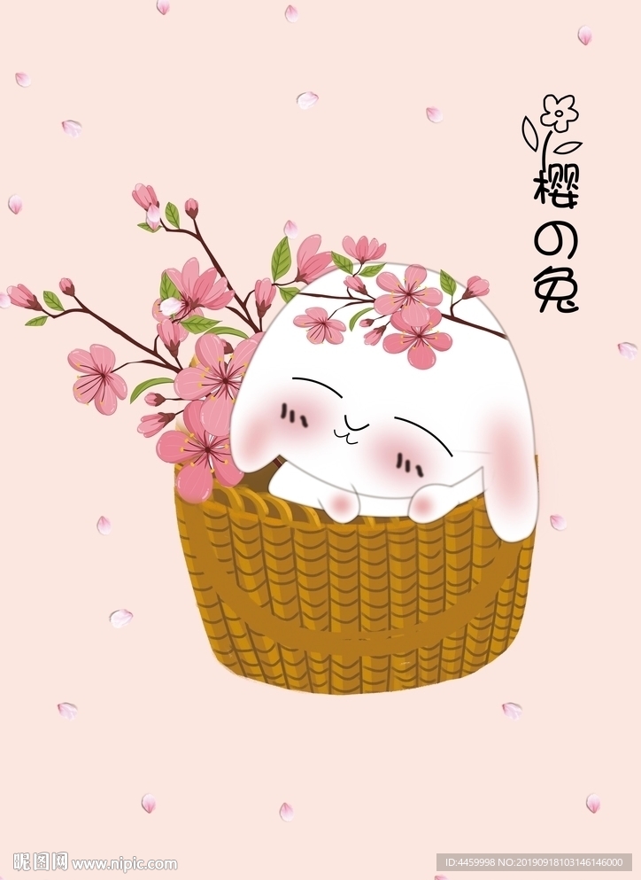樱之兔1