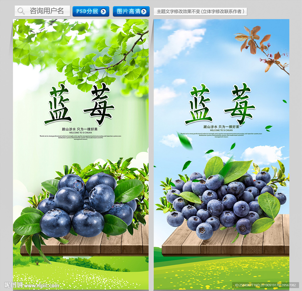 蓝莓