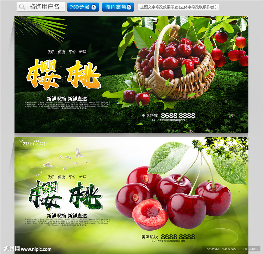 樱桃