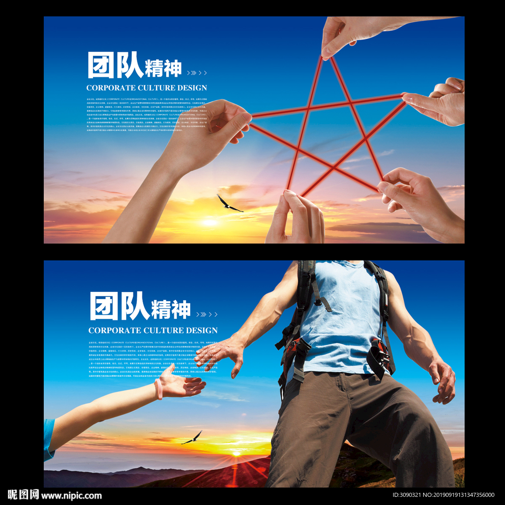 合作团队