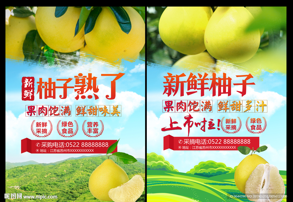 柚子海报