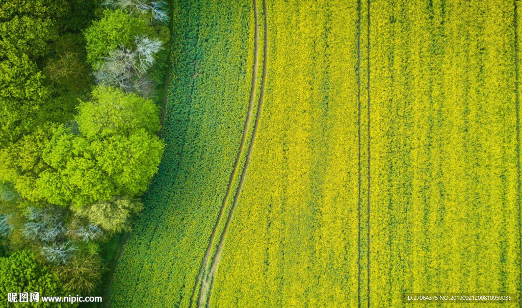 现代简约绿色清新草坪背景墙