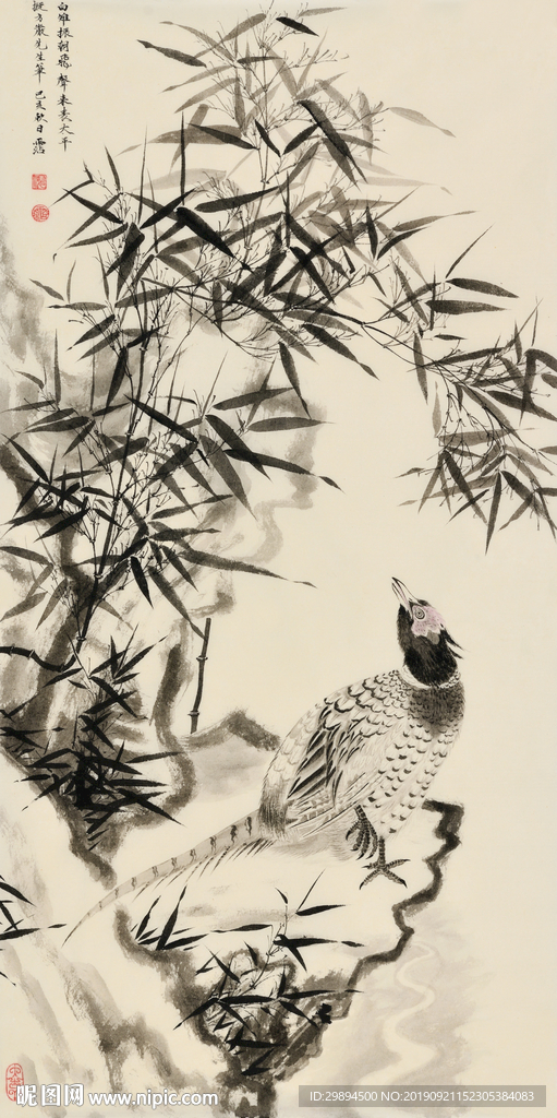 中国风 水墨画 锦鸡
